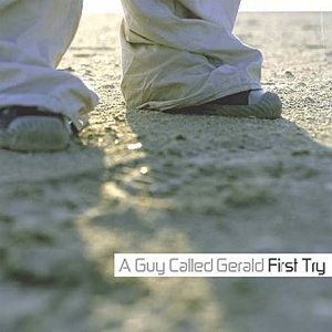 Cover for A Guy Called Gerald (LP) (2004)