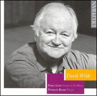 Cover for David Wilde · Sonata in B Minor / Elegies (CD) (2007)