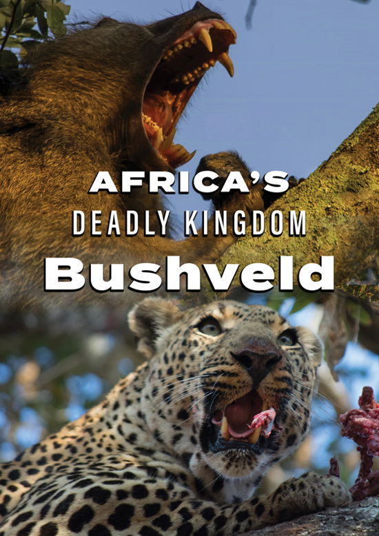 Africa's Deadly Kingdom: Bushveld (DVD) (2024)