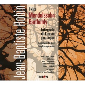 Cover for Felix Mendelssohn · Felix Mendelssohn - Integrale De L'Oeuvre Pour Orgue (CD)