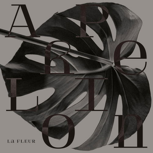 Cover for Fleur · Aphelion (LP) [EP edition] (2019)