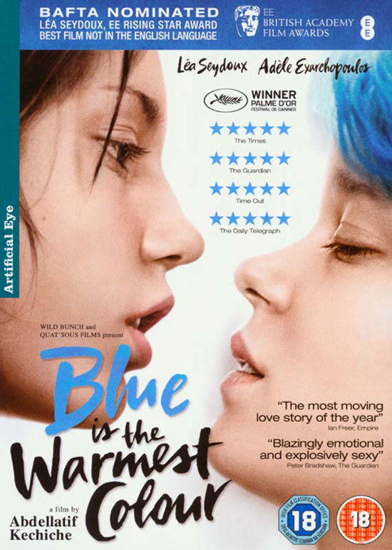 Blue Is The Warmest Colour - Abdellatif Kechiche - Film - Artificial Eye - 5021866684307 - 17 mars 2014