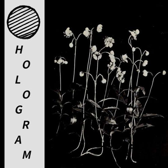 Cover for Hologram · Build Yourself Up So Many Times Only To Be Brought (LP) (2018)