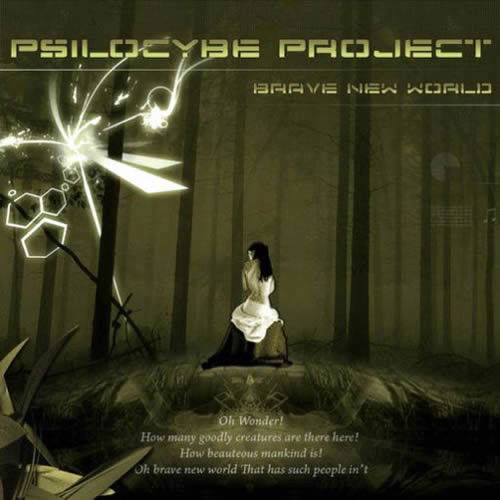 Cover for Brave New World (CD)