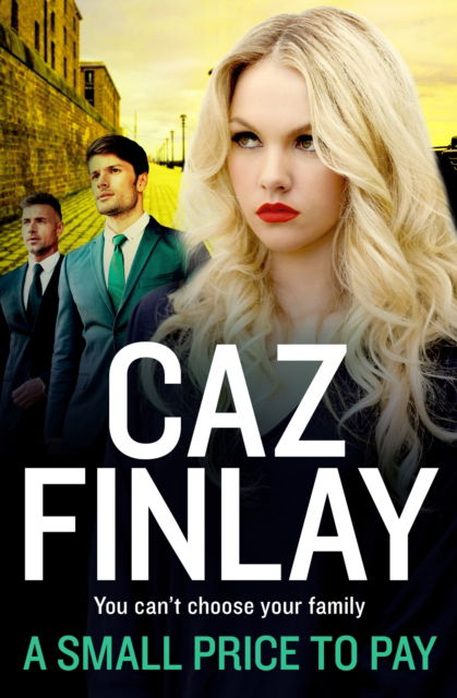 Cover for Caz Finlay · A Small Price to Pay (Taschenbuch) (2025)