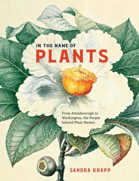 Cover for Sandra Knapp · In the Name of Plants (Hardcover Book) (2022)