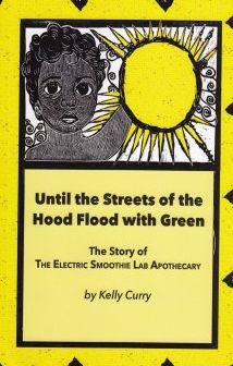 Cover for Kelly Curry · Until the Streets of the Hood Flood with Green : The Story of the Electric Smoothie Lab Apothecary (Paperback Book) (2018)