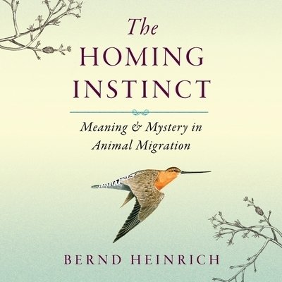 Cover for Bernd Heinrich · The Homing Instinct Lib/E (CD) (2020)