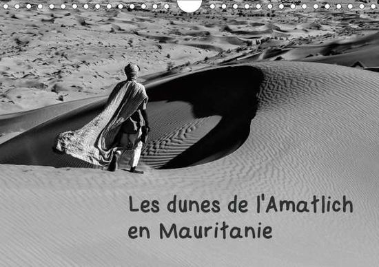 Cover for Denis · Les dunes de l'Amatlich en Maurit (Buch)