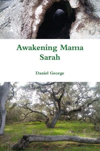 Cover for Daniel George · Awakening Mama Sarah (Paperback Book) (2018)