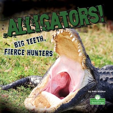Cover for Alan Walker · Alligators! Big Teeth, Fierce Hunters (Bok) (2021)