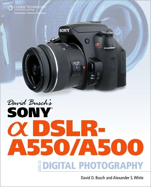 Cover for David Busch · David Busch's Sony Alpha DSLR-A550/A500 Guide to Digital Photography (Paperback Book) (2010)