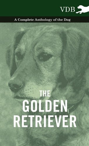 Cover for The Golden Retriever - a Complete Anthology of the Dog (Innbunden bok) (2010)
