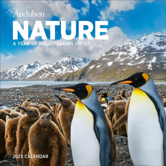 Cover for National Audubon Society · Audubon Nature Wall Calendar 2025: A Year of Breathtaking Vistas (Kalender) (2024)