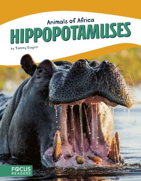 Cover for Tammy Gagne · Animals of Africa: Hippopotamuses (Paperback Book) (2017)