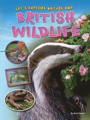 Cover for Ruth Owen · Let's Explore Nature and British Wildlife (Pocketbok) (2022)
