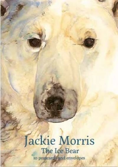 Jackie Morris Postcard Pack: The Ice Bear - Jackie Morris - Boeken - Graffeg Limited - 9781912654307 - 2 november 2018