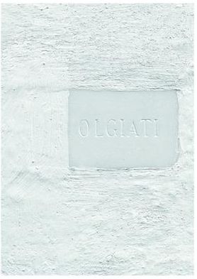 Cover for Selina Walder · Dado: Built and Inhabited by Rudolf Olgiati and Valerio Olgiati (Paperback Book) (2009)