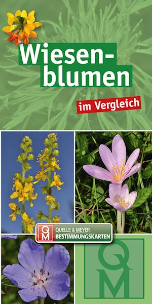 Cover for Quelle &amp; Meyer Verlag · Wiesenblumen (Bok) (2022)