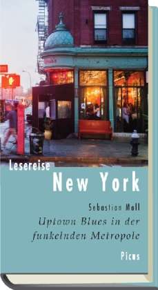 Cover for Moll · Lesereise New York (Book)