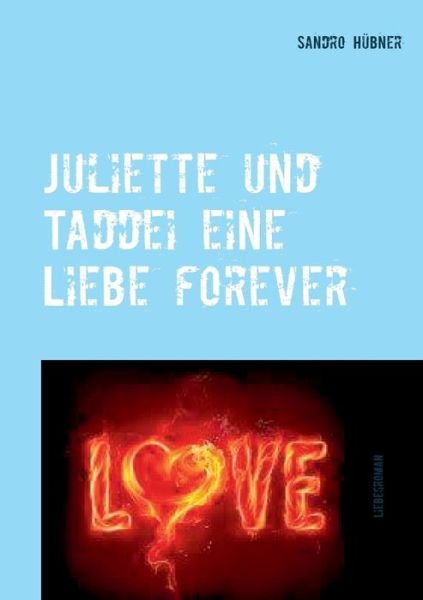 Hübner · Juliette und Taddei eine Liebe f (Buch) (2017)