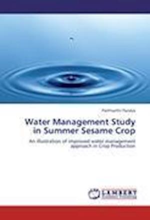 Cover for Pandya · Water Management Study in Summer (Book)