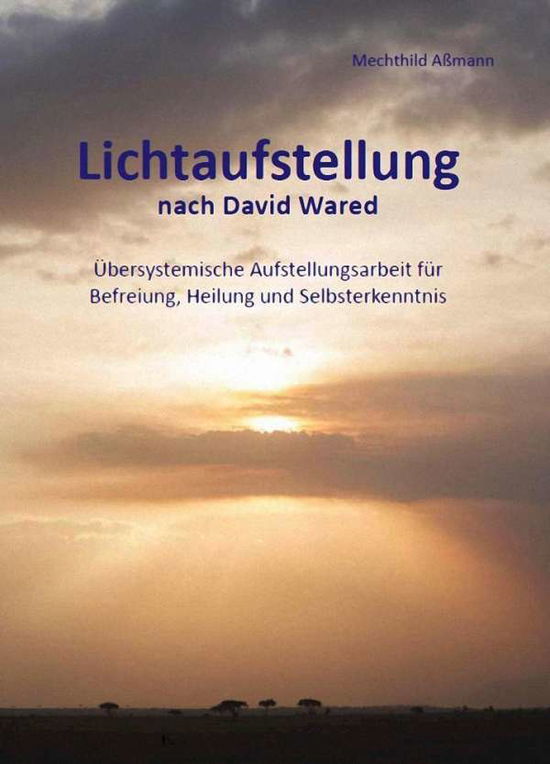 Cover for Mechthild · Lichtaufstellung Band 2 (Buch)