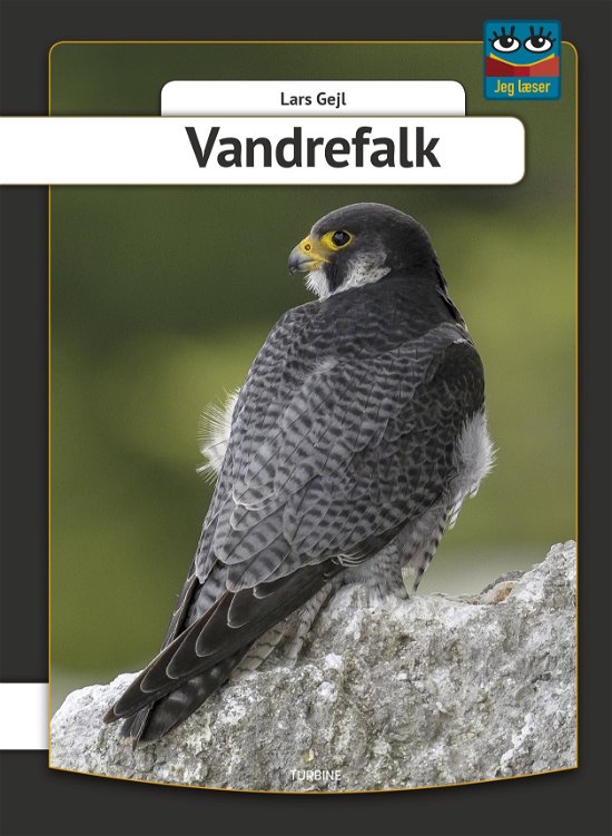 Cover for Lars Gejl · Jeg læser: Vandrefalk (Gebundenes Buch) [1. Ausgabe] (2019)
