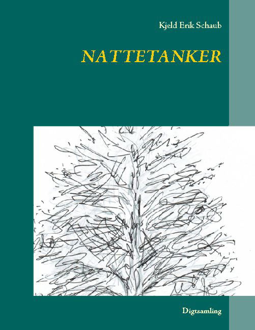 Cover for Kjeld Erik Schaub · Nattetanker (Paperback Book) [1e uitgave] (2020)