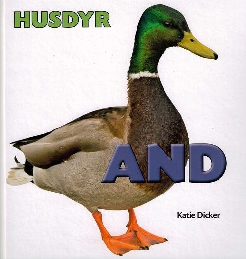 Cover for Katie Dicker · Husdyr: HUSDYR: And (Indbundet Bog) [1. udgave] (2016)