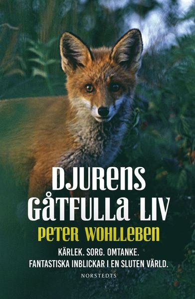 Cover for Peter Wohlleben · Djurens gåtfulla liv - Kärlek. Sorg. Omtanke : fantastiska inblickar i en sluten värld (Innbunden bok) (2017)