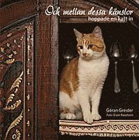 Cover for Göran Greider · Och mellan dessa känslor hoppade en katt in (Board book) (2012)