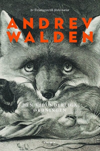 Cover for Andrev Walden · Den vidunderliga ordningen (Bound Book) (2024)