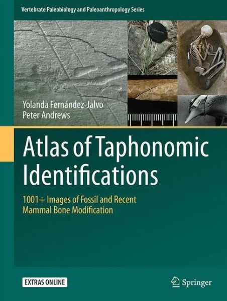 Cover for Yolanda Fernandez-Jalvo · Atlas of Taphonomic Identifications: 1001+ Images of Fossil and Recent Mammal Bone Modification - Vertebrate Paleobiology and Paleoanthropology (Hardcover Book) [1st ed. 2016 edition] (2016)