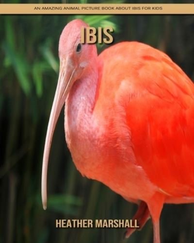 Cover for Heather Marshall · Ibis: An Amazing Animal Picture Book about Ibis for Kids (Paperback Book) (2021)
