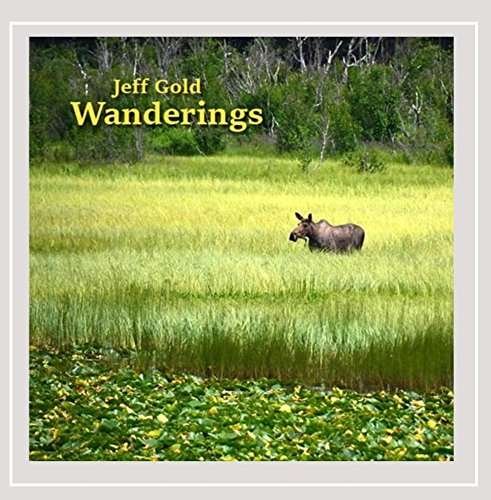 Cover for Jeff Gold · Wanderings (CD) (2016)