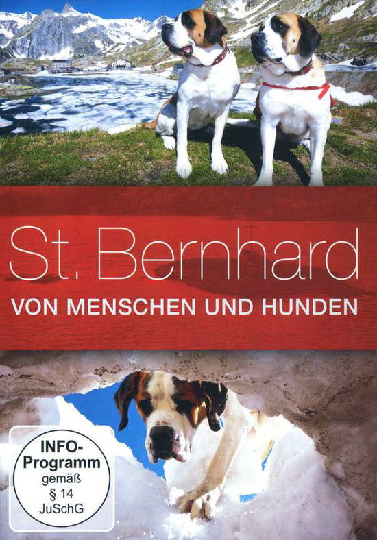 St.bernhard-von Menschen Und Hunden - Dokumentation - Filmes - ZYX - 0194111000308 - 27 de setembro de 2019