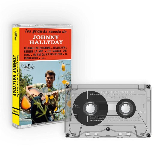 Cover for Johnny Hallyday · Les Plus Grands Succès (CD) (2022)