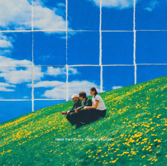 Cover for Valley · Water The Flowers / Pray For A Garden (Water Vinyl) (LP) (2024)
