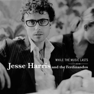 While the Music Lasts - Jesse Harris - Musik - IMPORT - 0602498619308 - 13 juli 2004