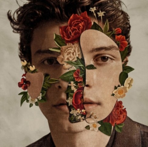 Cover for Shawn Mendes (CD) (2018)