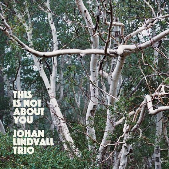 This Is Not About You - Johan -Trio Lindvall - Musique - JAZZLAND - 0687437794308 - 11 mars 2022