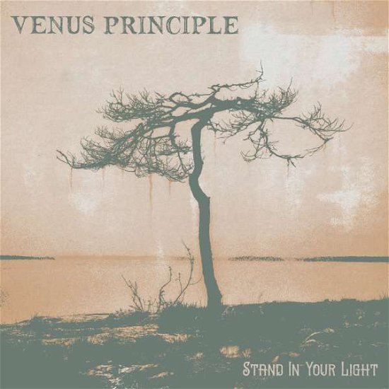 Stand in Your Light (Clear Vinyl) - Venus Principle - Musik - PROPHECY - 0884388732308 - 27. Mai 2022