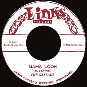 Cover for Gaylads · Mama Look (LP) [Japan Import edition] (2022)