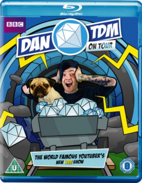 Dantdm On Tour - Dantdm on Tour - Filme - 2 ENTERTAIN - 5051561004308 - 20. November 2017