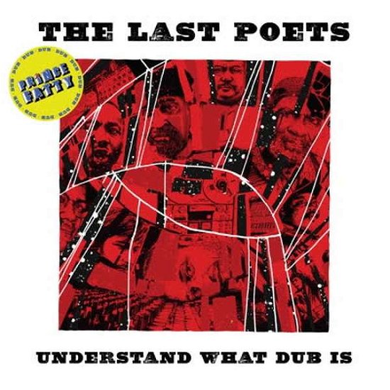 Cover for Last Poets · Understand What Dub is (LP) (2019)