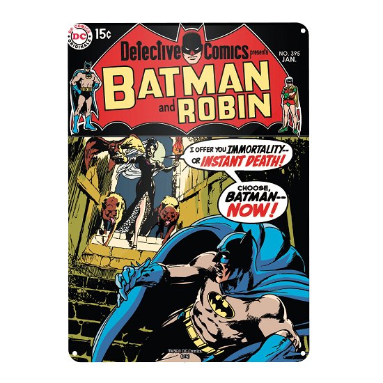 Batman And Robin A3 Metal Wall Sign - Batman - Merchandise - HALF MOON BAY - 5055453439308 - 22. august 2017