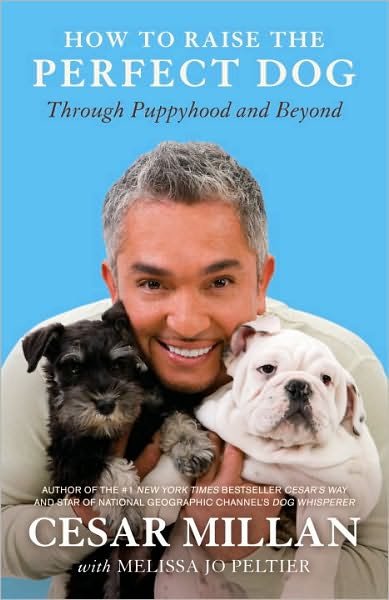 Cover for Cesar Millan · How to Raise the Perfect Dog: Through Puppyhood and Beyond (Paperback Bog) (2010)