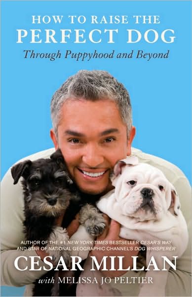 How to Raise the Perfect Dog: Through Puppyhood and Beyond - Cesar Millan - Libros - Crown - 9780307461308 - 14 de septiembre de 2010