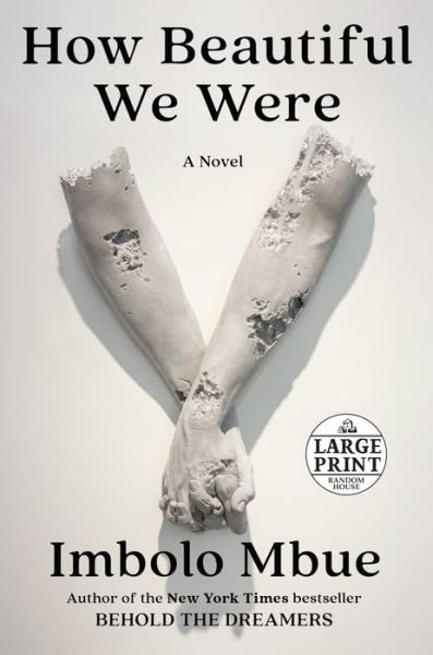 Cover for Imbolo Mbue · How Beautiful We Were: A Novel (Pocketbok) (2021)